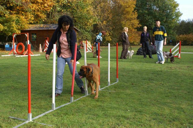agility 2011-10-30